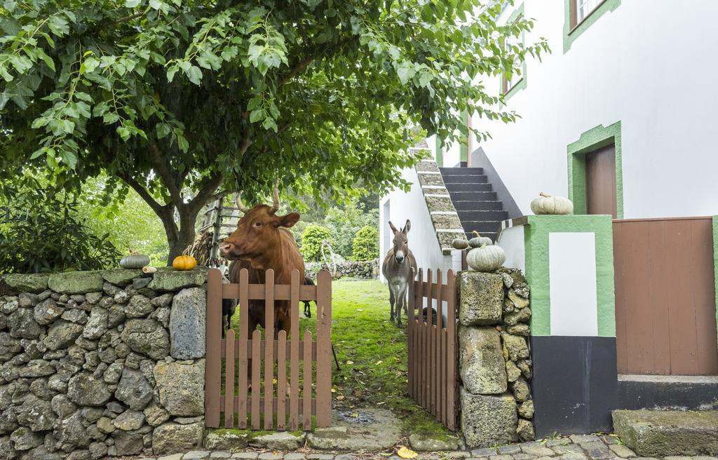 Quinta Do Martelo Hotel Angra do Heroismo Exterior photo